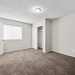 carpeted bedroom with closet at the Oakley apartment homes in Tuscaloosa, AL