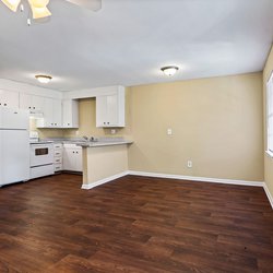 wood floor kitchen and living room  at the Oakley apartment homes in Tuscaloosa, AL